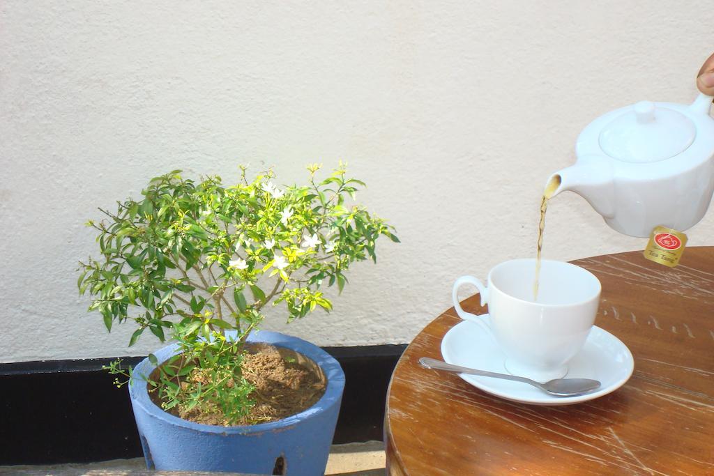 Blue Seas Guest House 마운트 라비니아 외부 사진